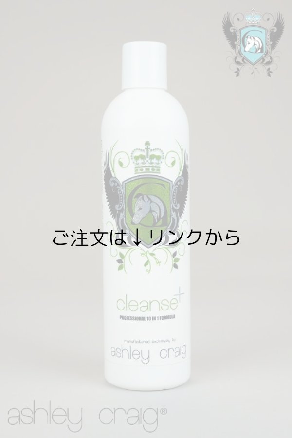 画像1: Ashley Craig アシュレイ・クレイグ・ システムシャンプー《 ショーサロン＆スパ》CLEANSE+ クレンズ・プラス【皮脂落とし用シャンプー】